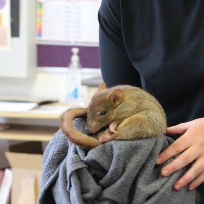 Image 39 from Activities