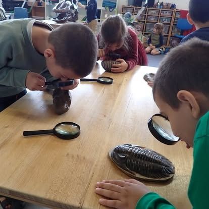 Image 4 from Activities